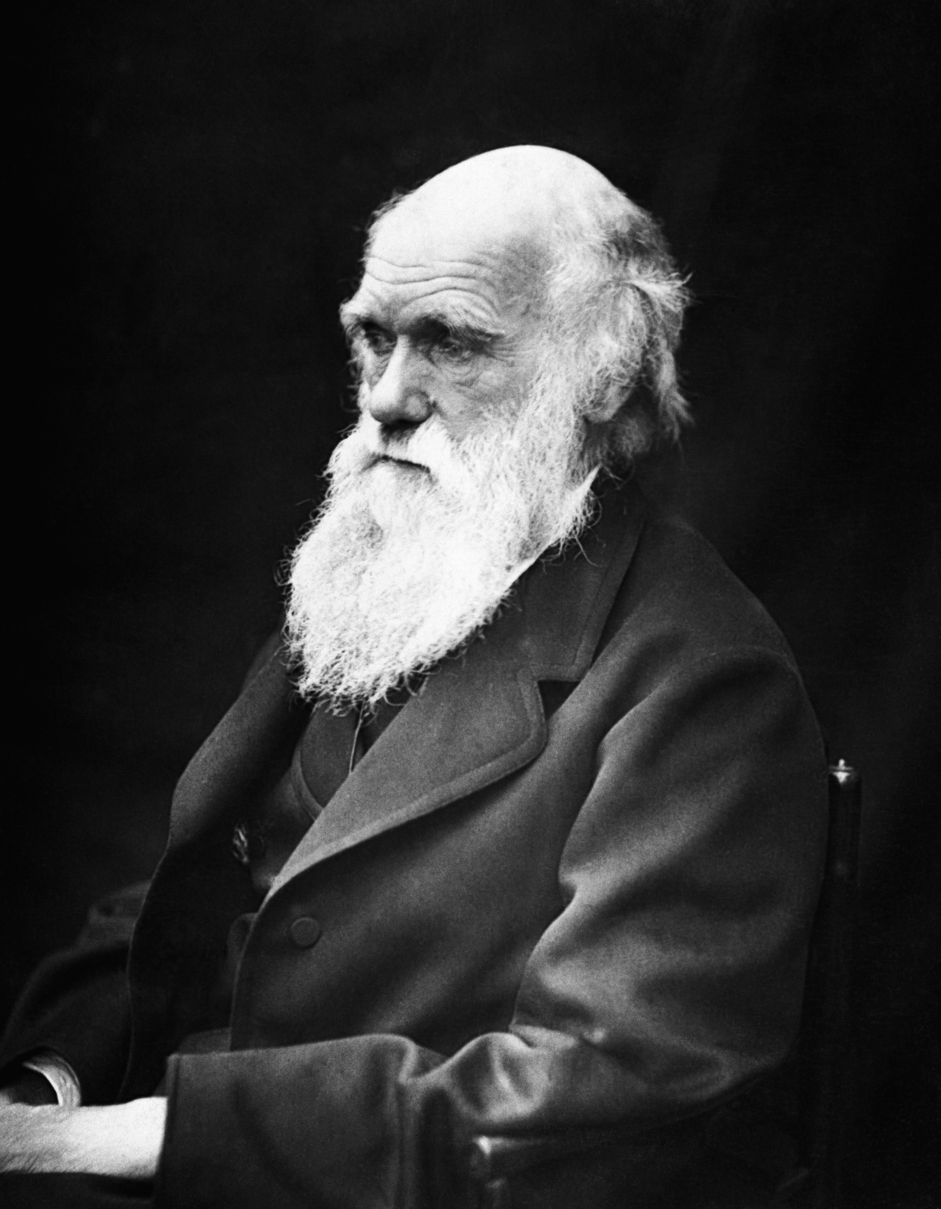 حفيدة “داروين” مؤسس نظرية التطور تعتنق المسيحية